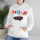 87 + 13 = 100 (Hoodie) - Arena Cases
