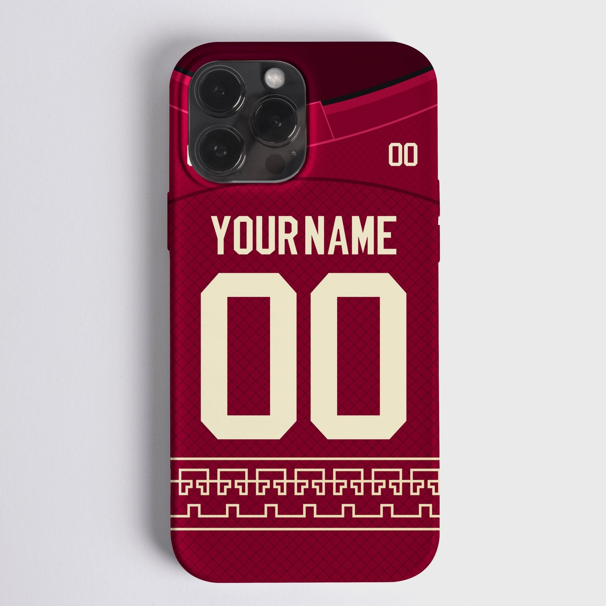 Arizona Alternate - Hockey Colors 23 - Arena Cases
