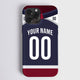 Colorado Alternate - Hockey Colors 23 - Arena Cases